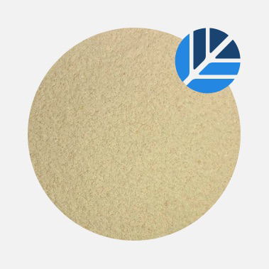 Bewi-Spray-95-D-square